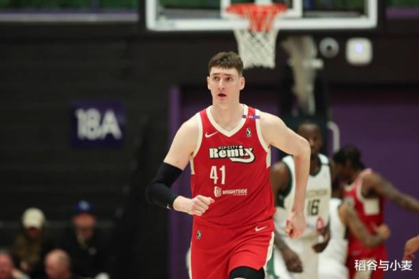 在NBA很难混下去了! 前尼克斯的乌克兰五号位将转战以色列职业联赛  ?